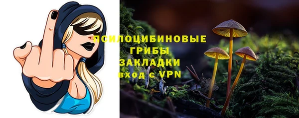 молекула духа Абдулино