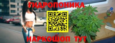 марки lsd Лесосибирск