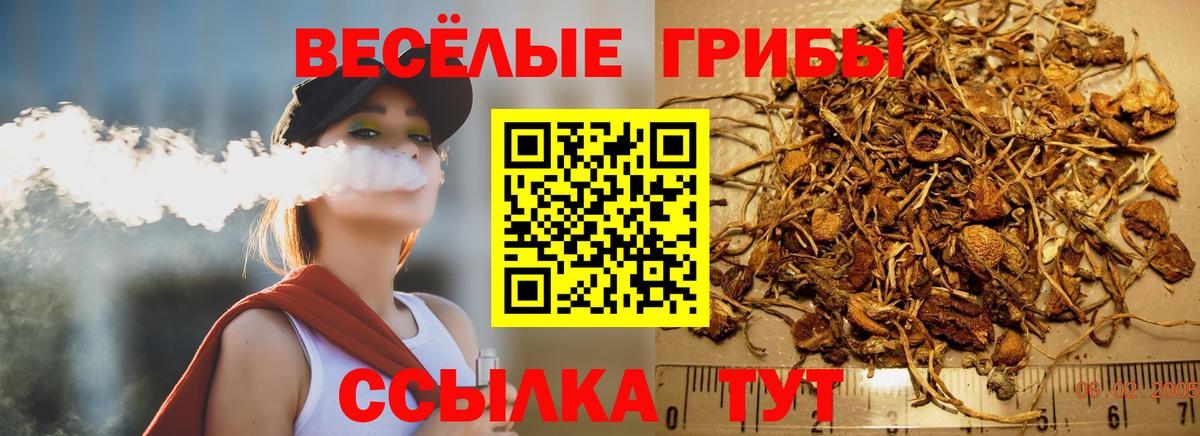 Псилоцибиновые грибы прущие грибы  Вход с VPN  Екатеринбург 